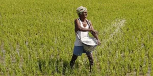 mantra of good farming