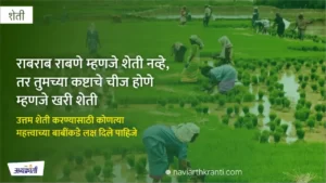 the-secret-to-successful-farming