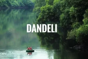 Dandeli-Wildlife-Sanctuary-Karnatakas-Natural-Beauty-Gem