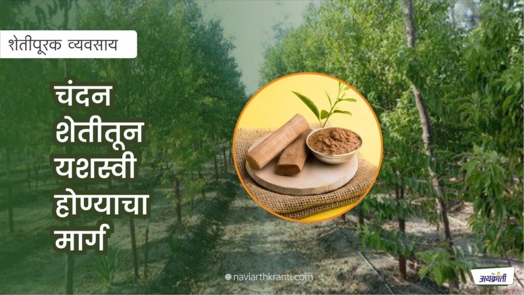 chandan-plantation-guide-maharashtra