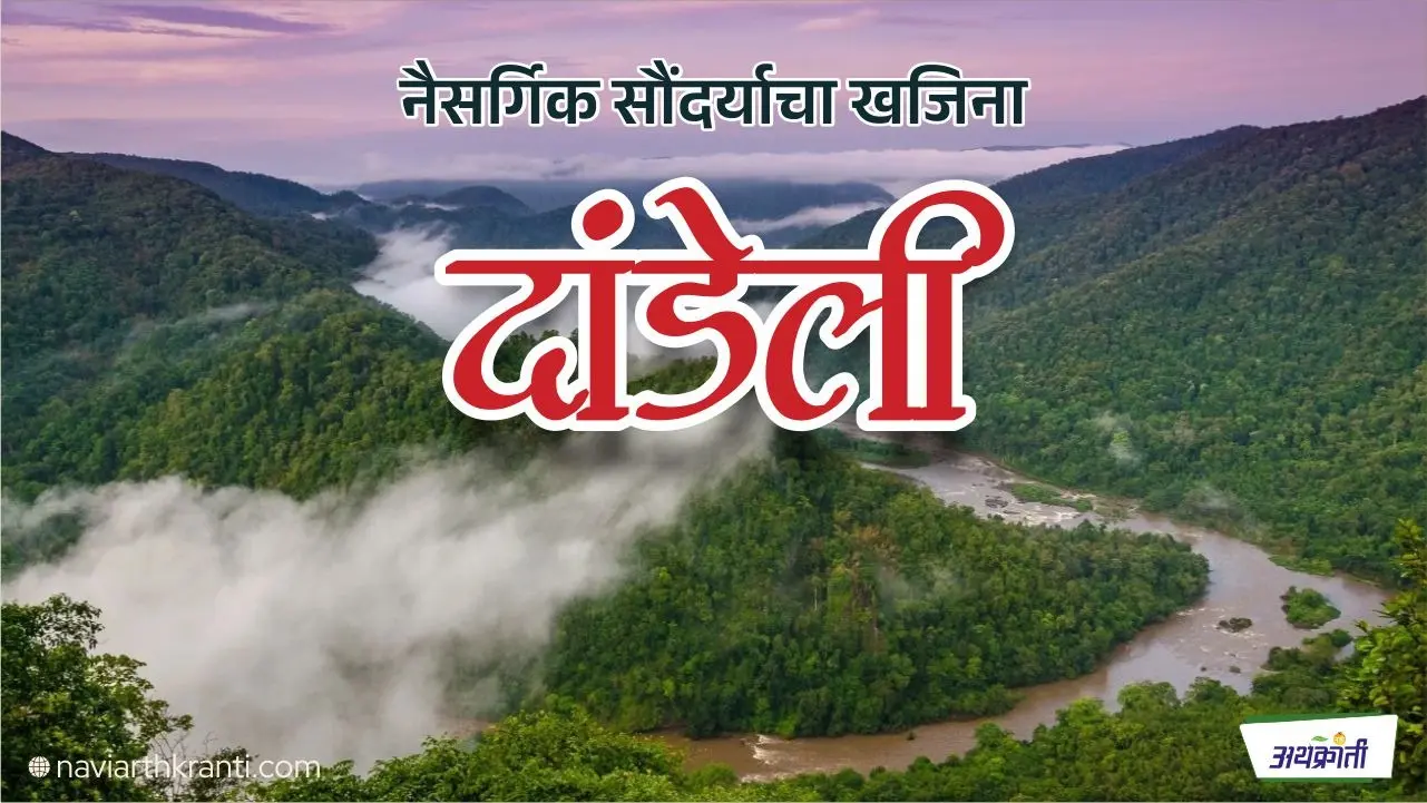 दांडेली अभयारण्य: कर्नाटकातील नैसर्गिक सौंदर्याचा खजिना