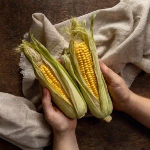 All-you-need-to-know-about-sweet-corn-farming