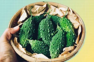 step-by-step-guide-to-growing-bitter-gourds