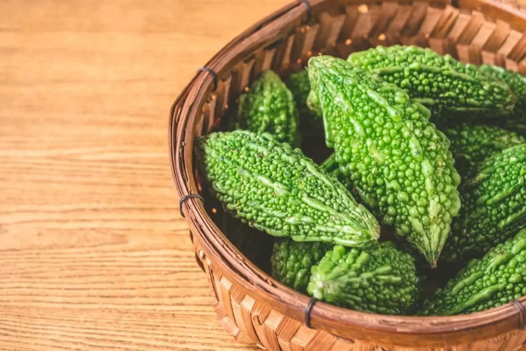 Step-by-Step Guide to Growing Bitter Gourds