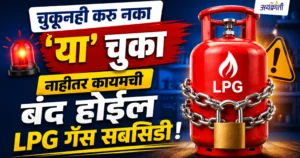 LPG Gas Subsidy: तुमची गॅस सबसिडी बंद झाली आहे का?