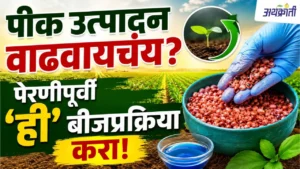 बीजप्रक्रिया: कमी खर्चात अधिक उत्पादन मिळवण्याचा मंत्र